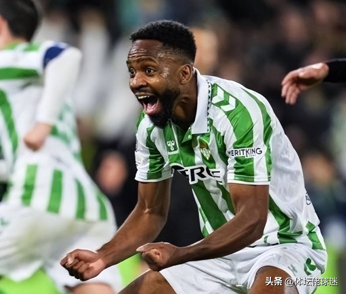  尊严只在剑锋之上原文 