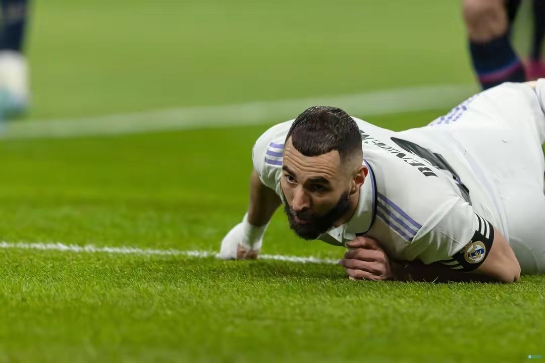 乐鱼官网 -日落跌进昭昭星野赏析